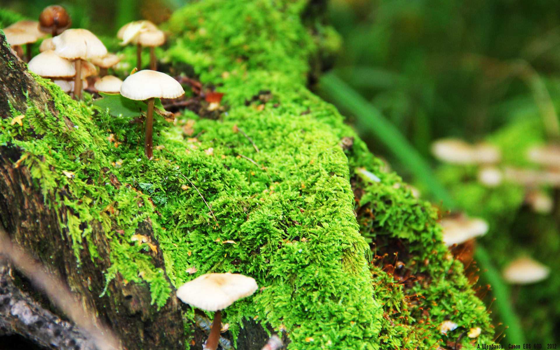 -城市马拉松成为区域联动品牌赛事,城市马拉松一般多长时间