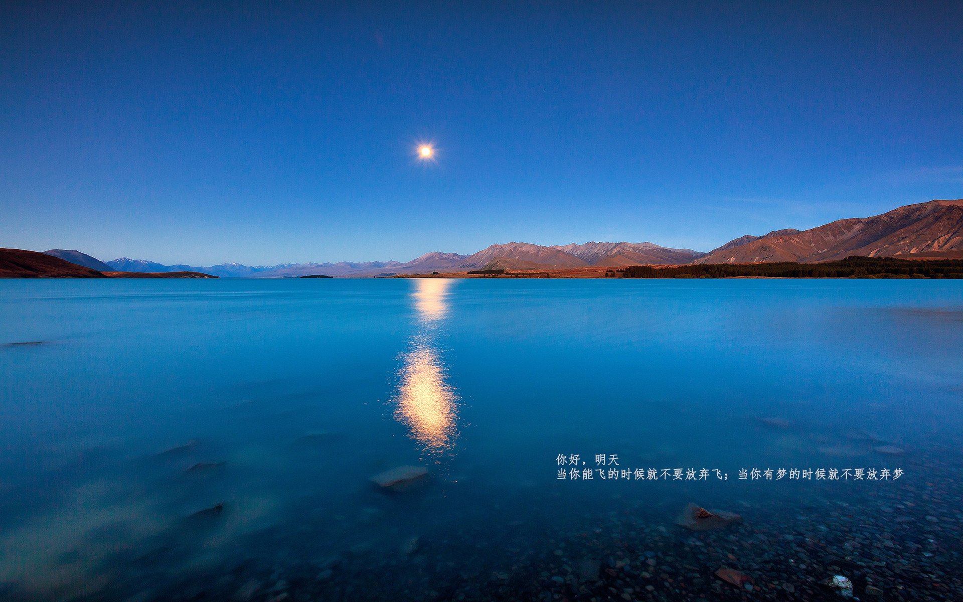 九游网页版入口-波兰队赛制分析：如何根据比赛的进程调整战术安排，波兰联赛水平