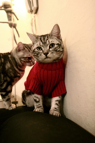 九游下载官网-羽毛球世锦赛中国组合晋级四强，羽毛球 世锦赛