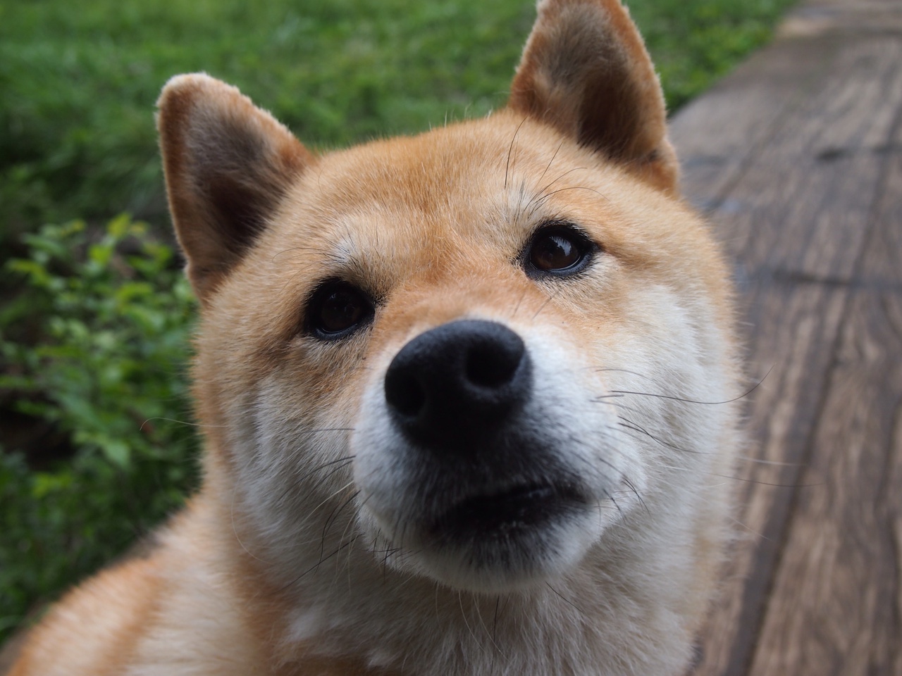 详细阅读:九游娱乐-里昂边路推进撕破防线形成空档,里昂队套 九游娱乐-里昂边路推进撕破防线形成空档,里昂队套