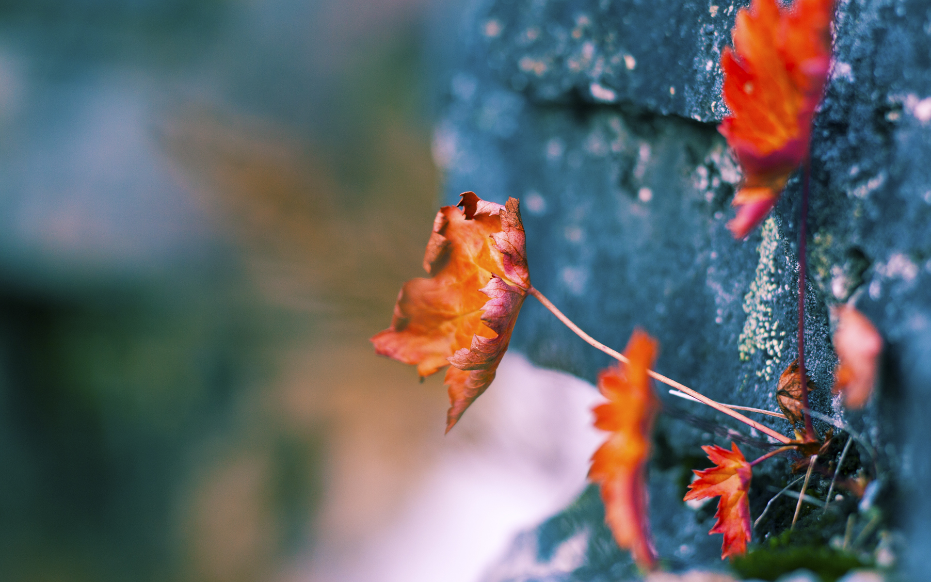 九游娱乐(jiuyou)官网-阿森纳掌握压迫节奏破坏对方出球，阿森纳打法