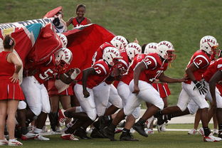 国际足球联盟推出新赛制,提升比赛公平性和观赏性,国际足联最新审定的足球竞赛规则