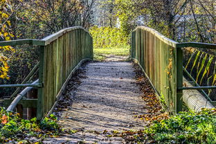 九游官网下载电脑版-绿色环保足球场在全国范围逐步推广使用,足球环保创意作品